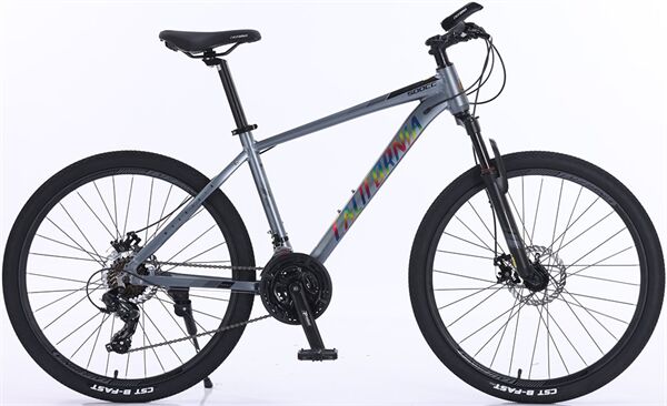 Xe đạp địa hình thể thao California 500CC 2025